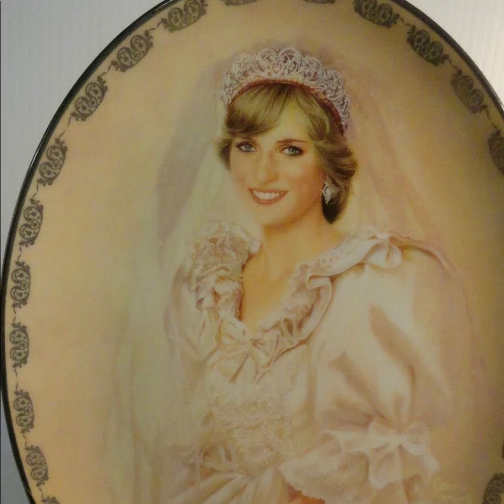 DIANA collector plate